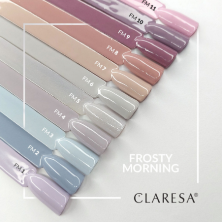 CLARESA Hybride Politurl Frosty Morning 1 -5g