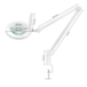 LED LUPA LED GLOW 8021 LAMP INSTELBARE KLEUR LICHT