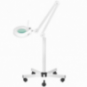 Salonset Behandelstoel + LED-loeplamp + Statief + Tabouret